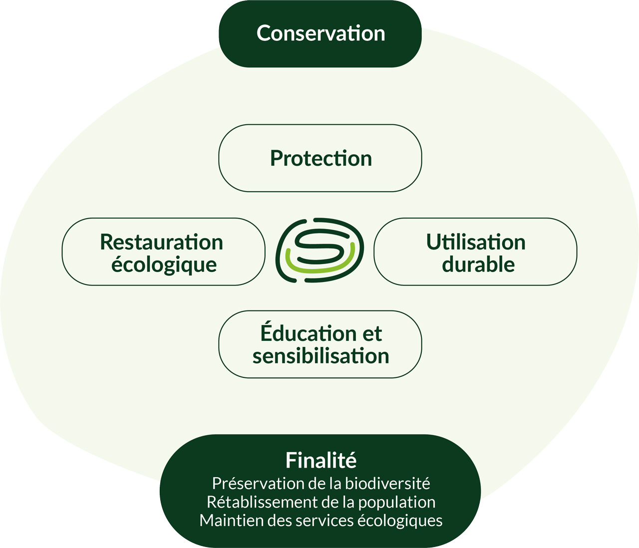 Schema_conservation