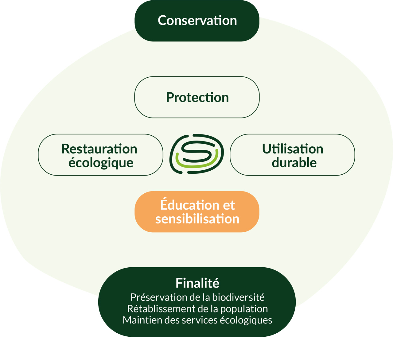 Schema_éducation