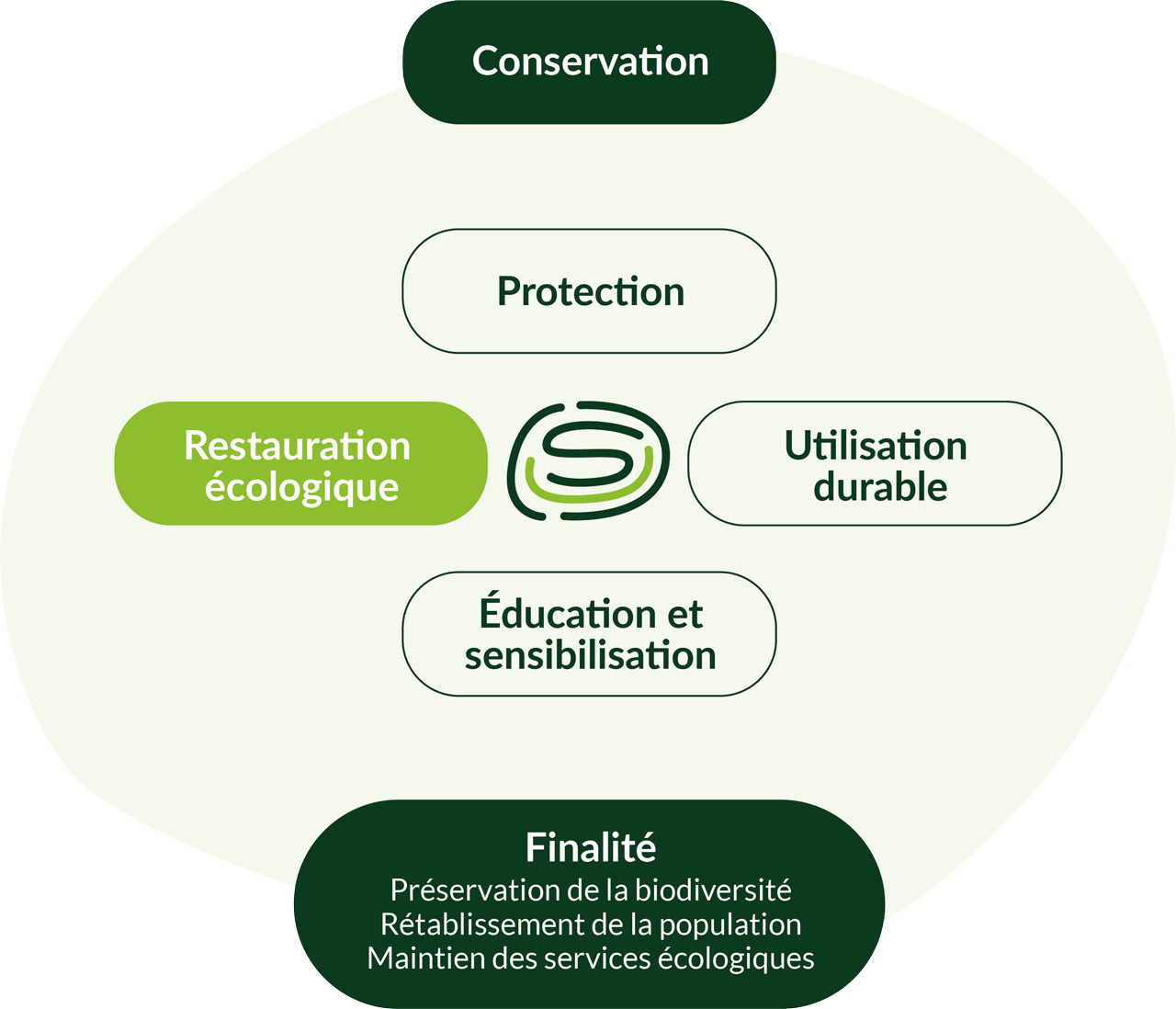 Schema_restauration