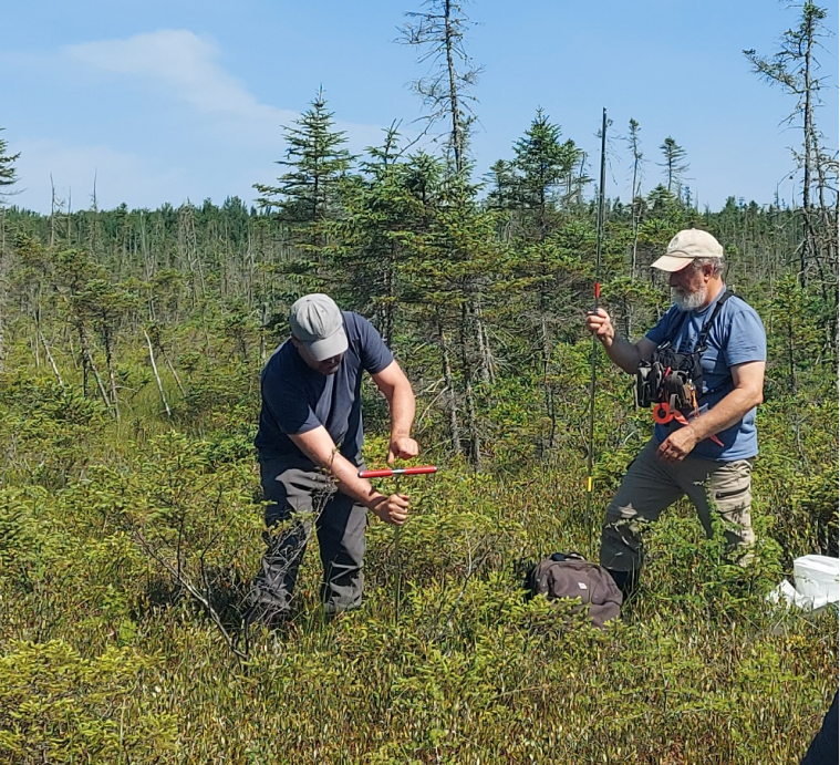 Symbiose-expertise-conserver-plan-conservation