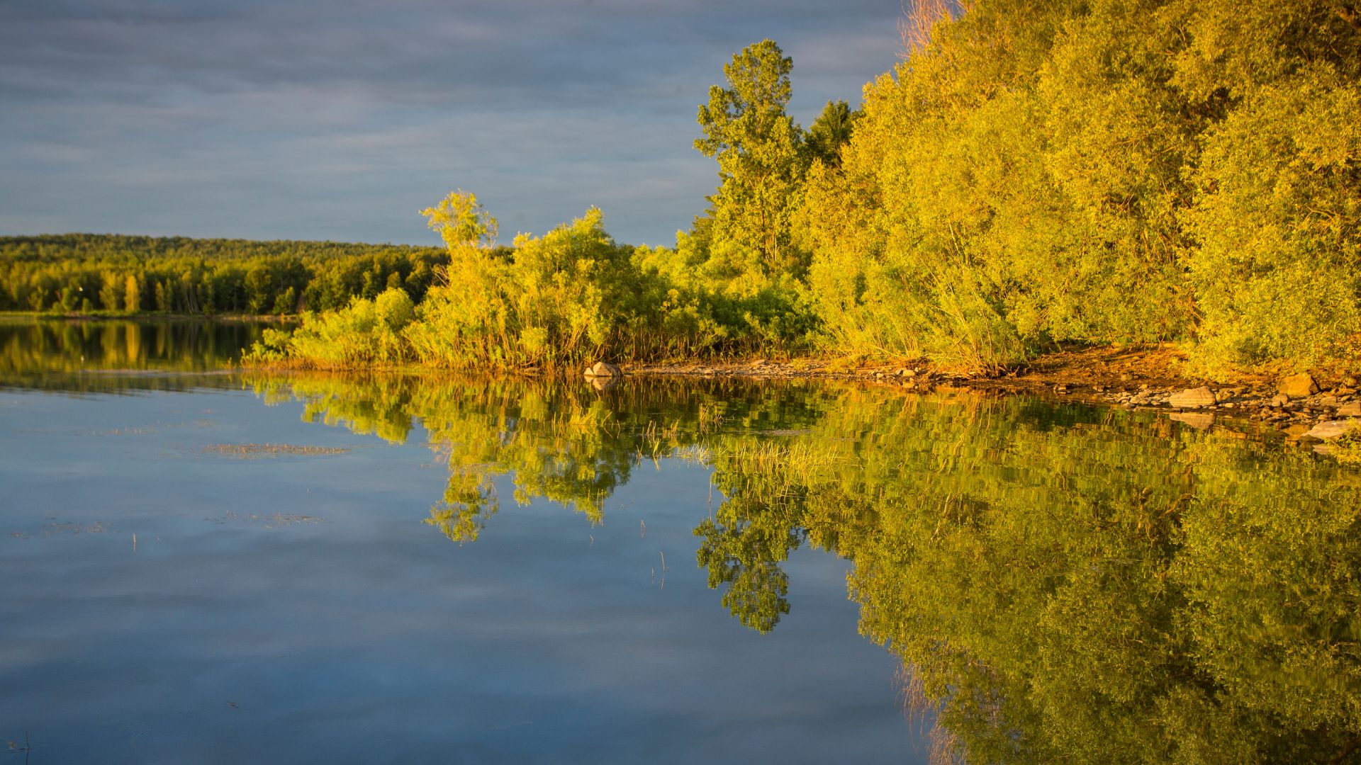 Couvert forestier | Plan de conservation Couvert forestier en Haute-Yamaska