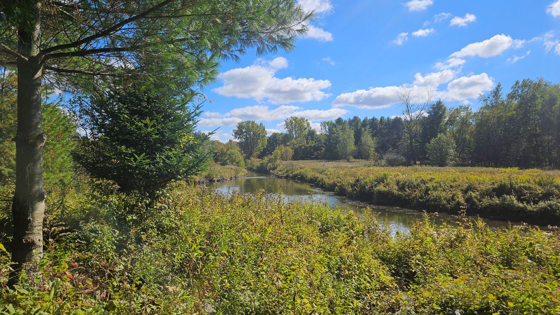 Rivière Yamaska Rivière Yamaska en Haute-Yamaska