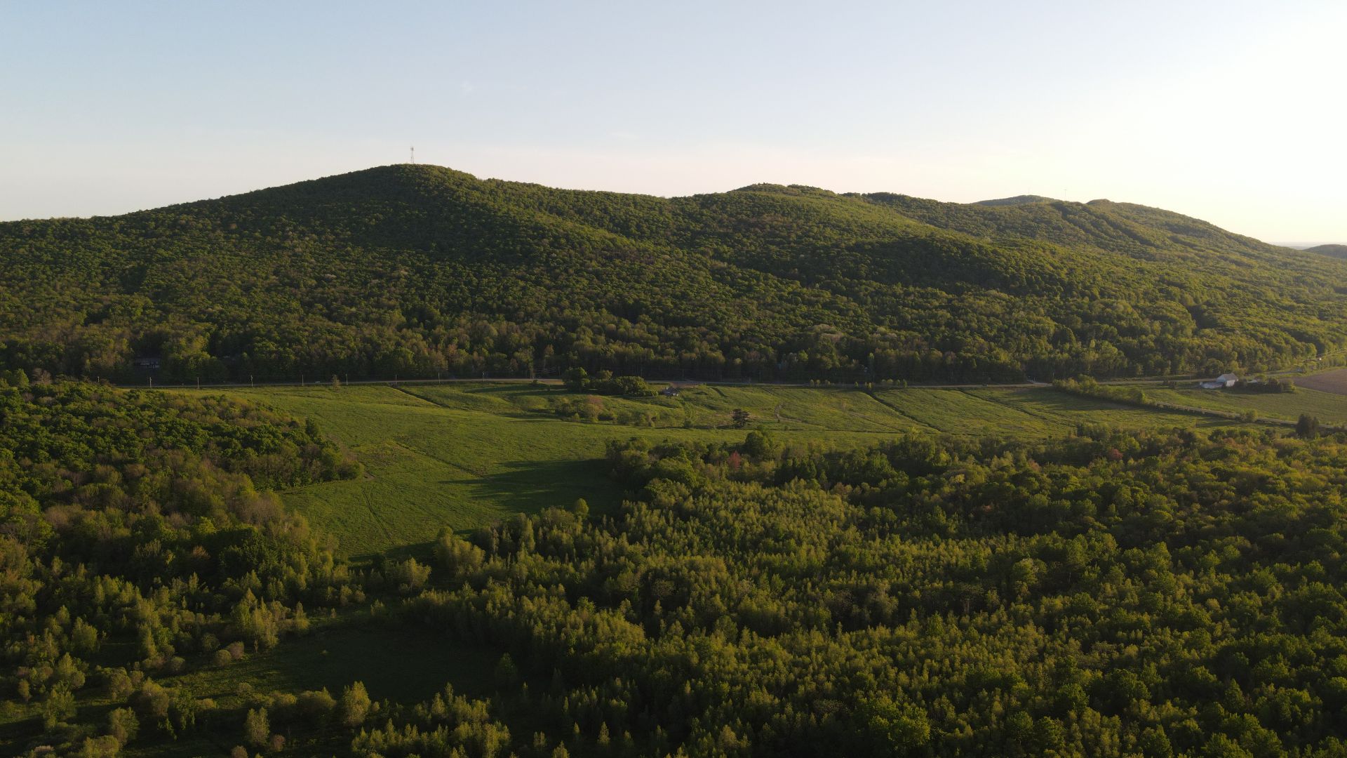 Mont Shefford | Conservation | crédit : Joaquin Riesgo Mont Shefford, milieu naturel protégé en Haute-Yamaska — crédit : Joaquin Riesgo