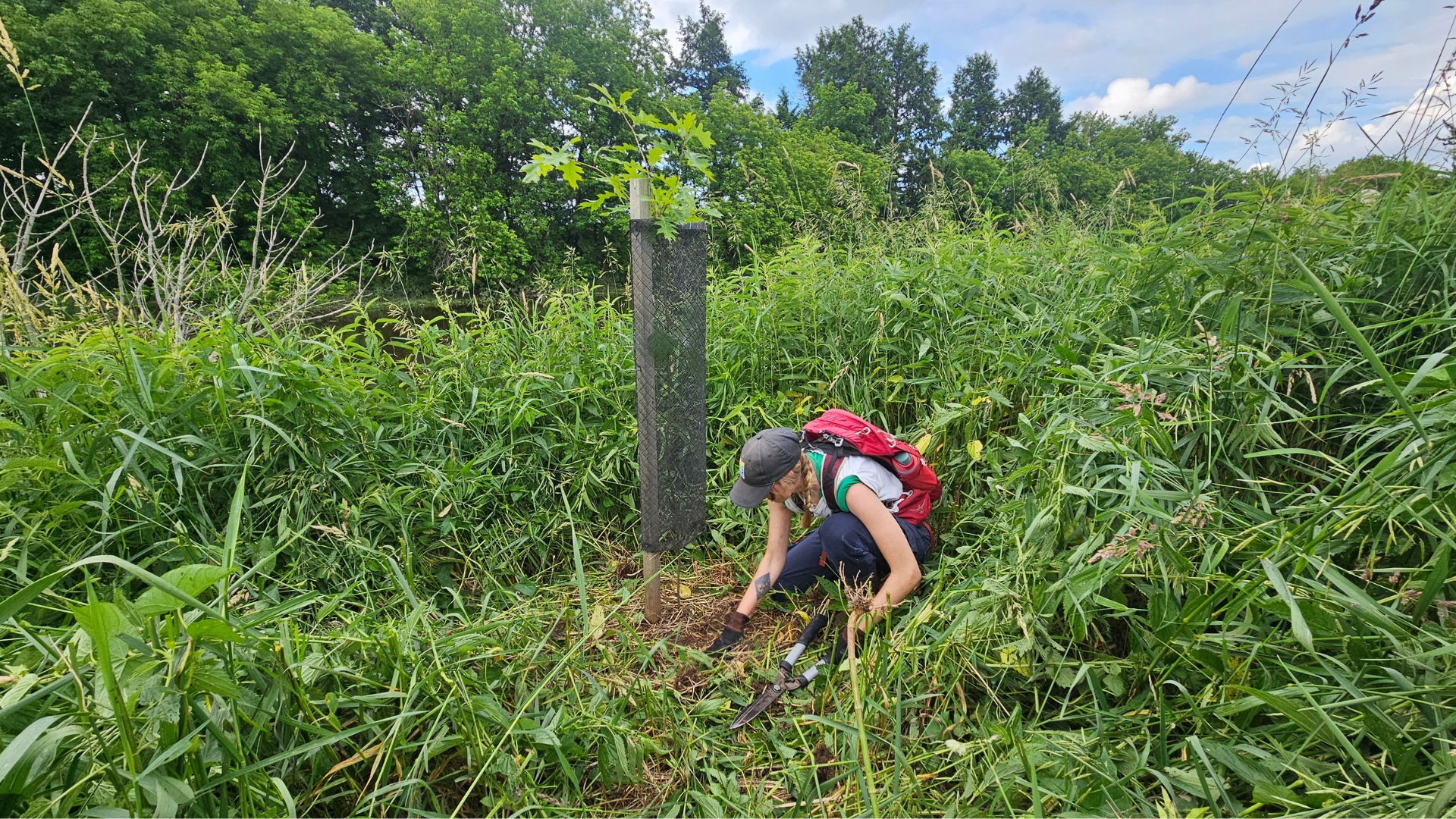 Conférence_restauration_écologique Plantation d'arbres