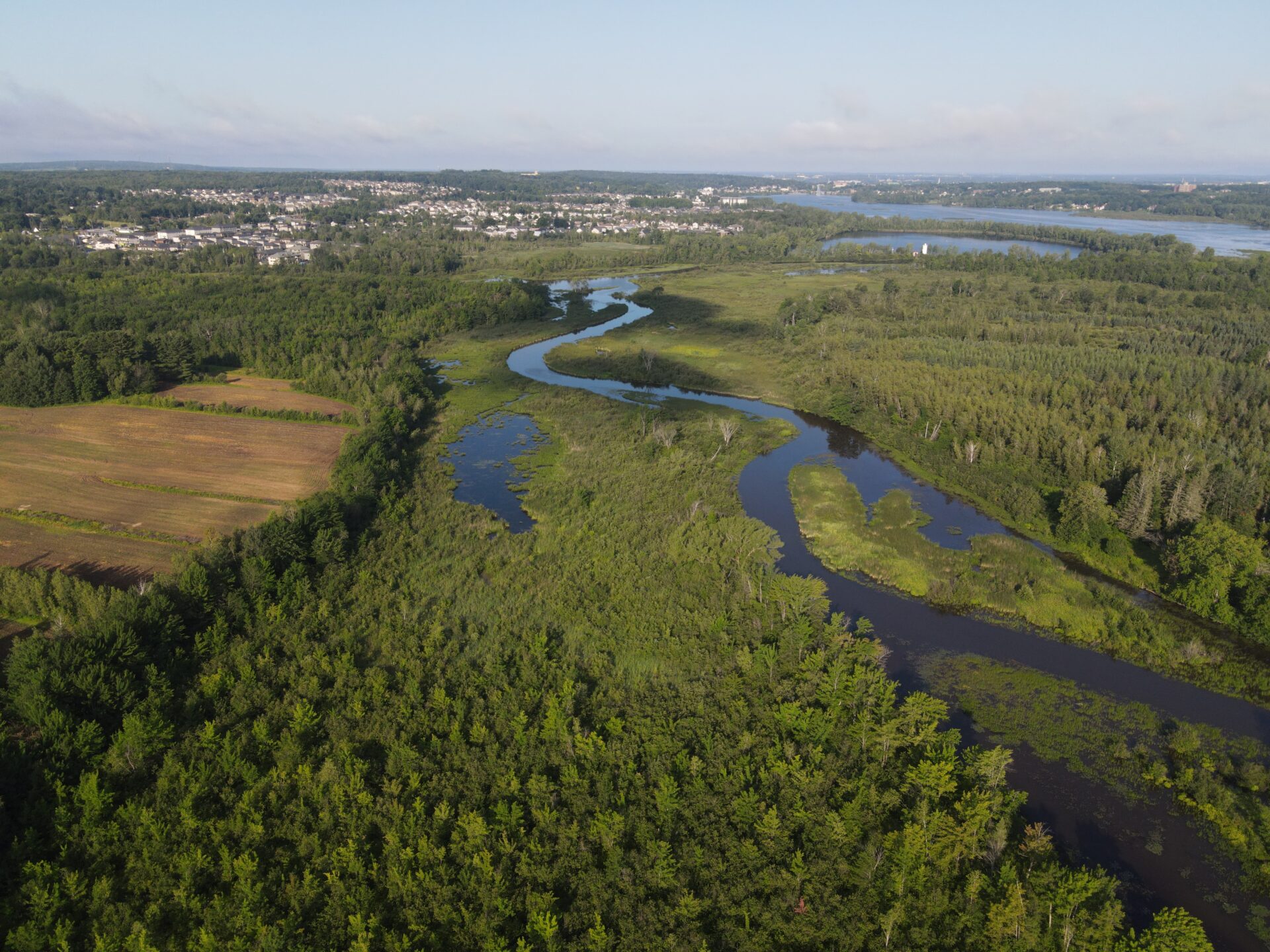 Rivière Yamaska | Joaquin Riesgo
