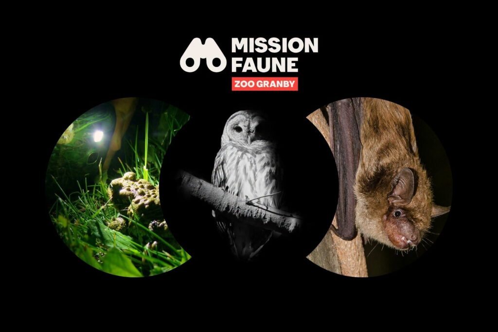 Bioblitz_Zoo de Granby